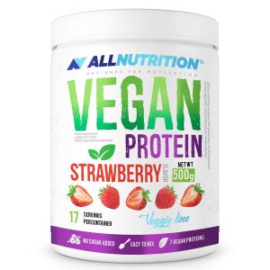 Vegan Protein – 500g Vanilla