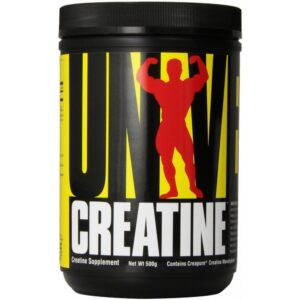 Creatine Micronized – 500g