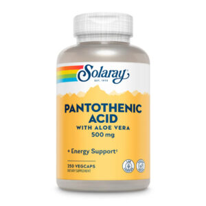 Pantothenic Acid 500mg – 250 veg caps (До 02.25)