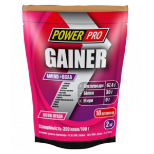 Gainer – 2000g Forest Fruit